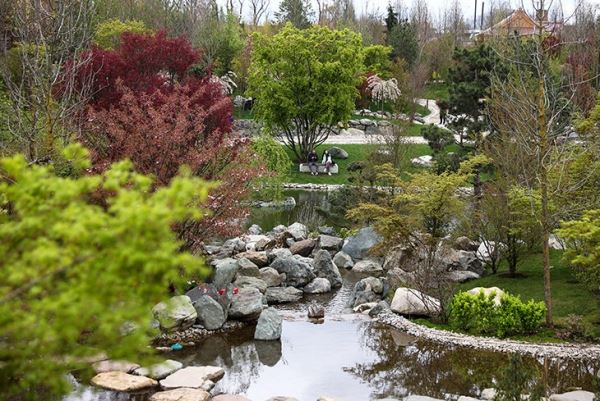В парке «Краснодара» открылся японский сад – самый большой в Европе. Ныряем в древнюю культуру через водопад, бамбуковую рощу, храмы медитаций