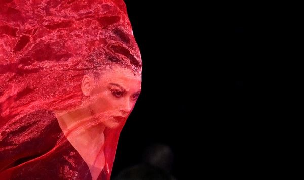 Вся красота мая: закаты над Петербургом, Монтевидео и Новой Зеландией, Анчелотти смотрит на счастье Холанда, 🐶 на скейте 