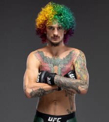 Бой Алджамейн Стерлинг – Шон О’Мэлли пройдет на UFC 292